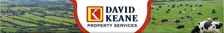 David Keane Properties Services